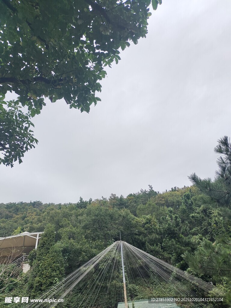 山林中的透明帐篷景观
