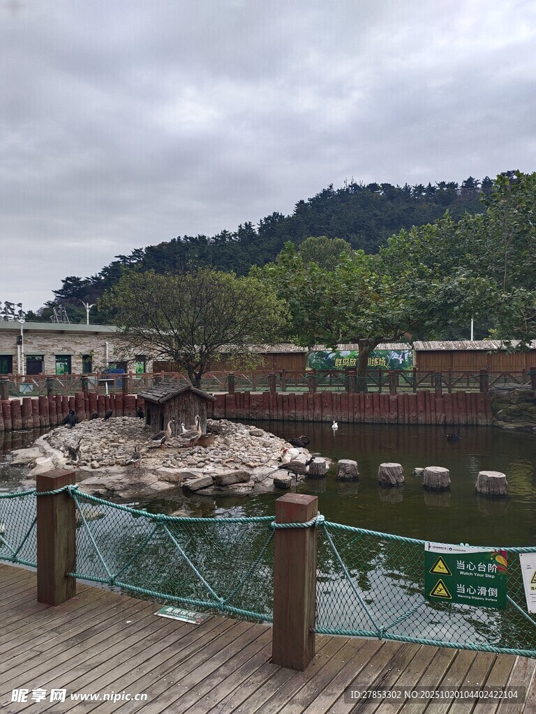 湖畔木质栈道风景