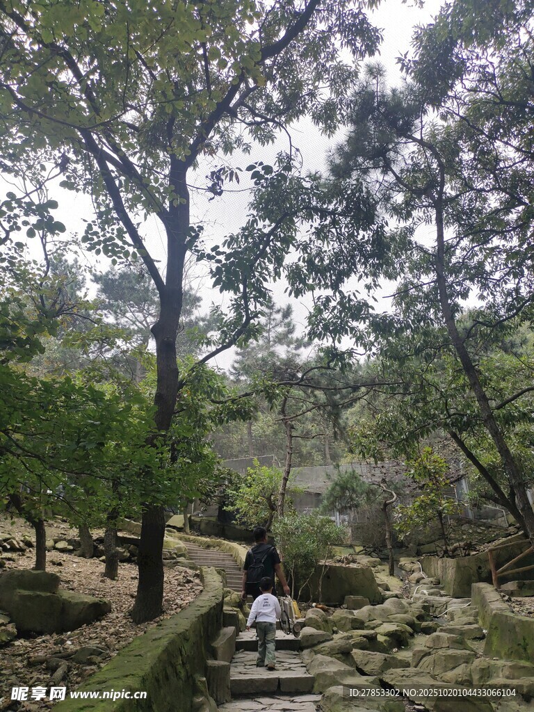 山林间的漫步小径