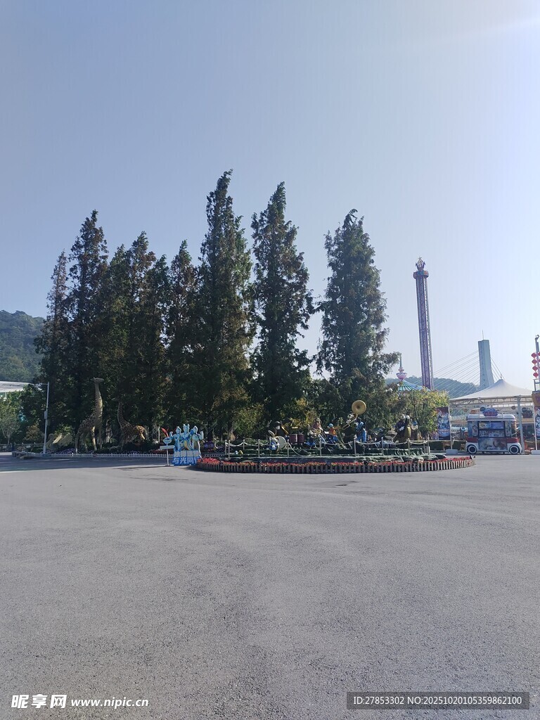 空旷场地旁的葱郁树木