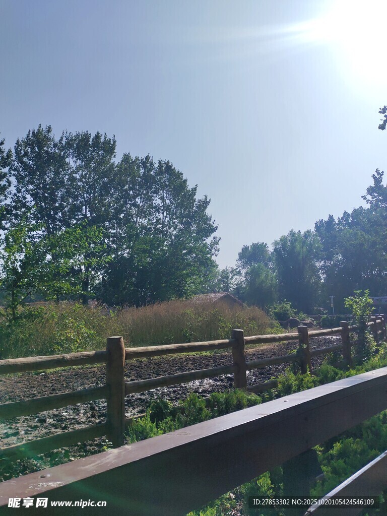 户外铁轨旁的自然风景