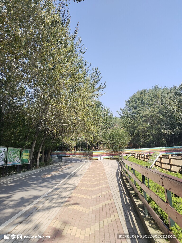林荫步道