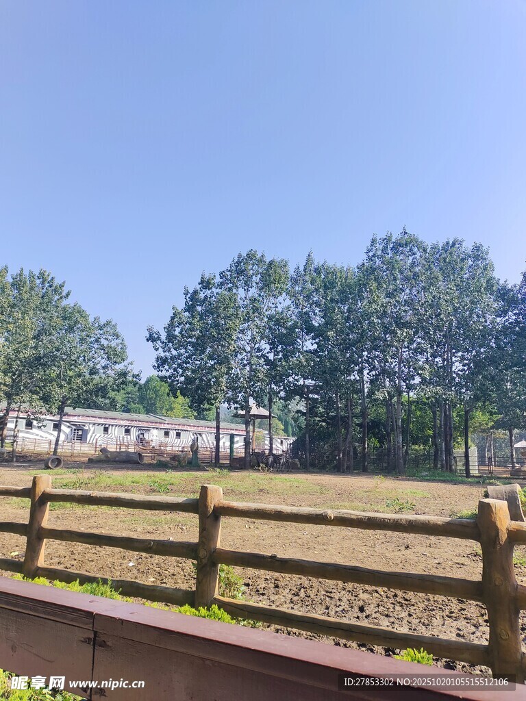 乡村木栅栏旁的开阔景致