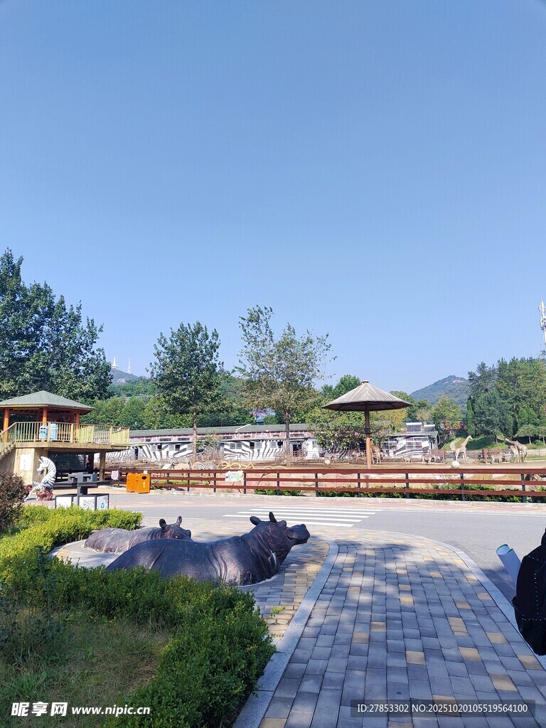宁静庭院景观