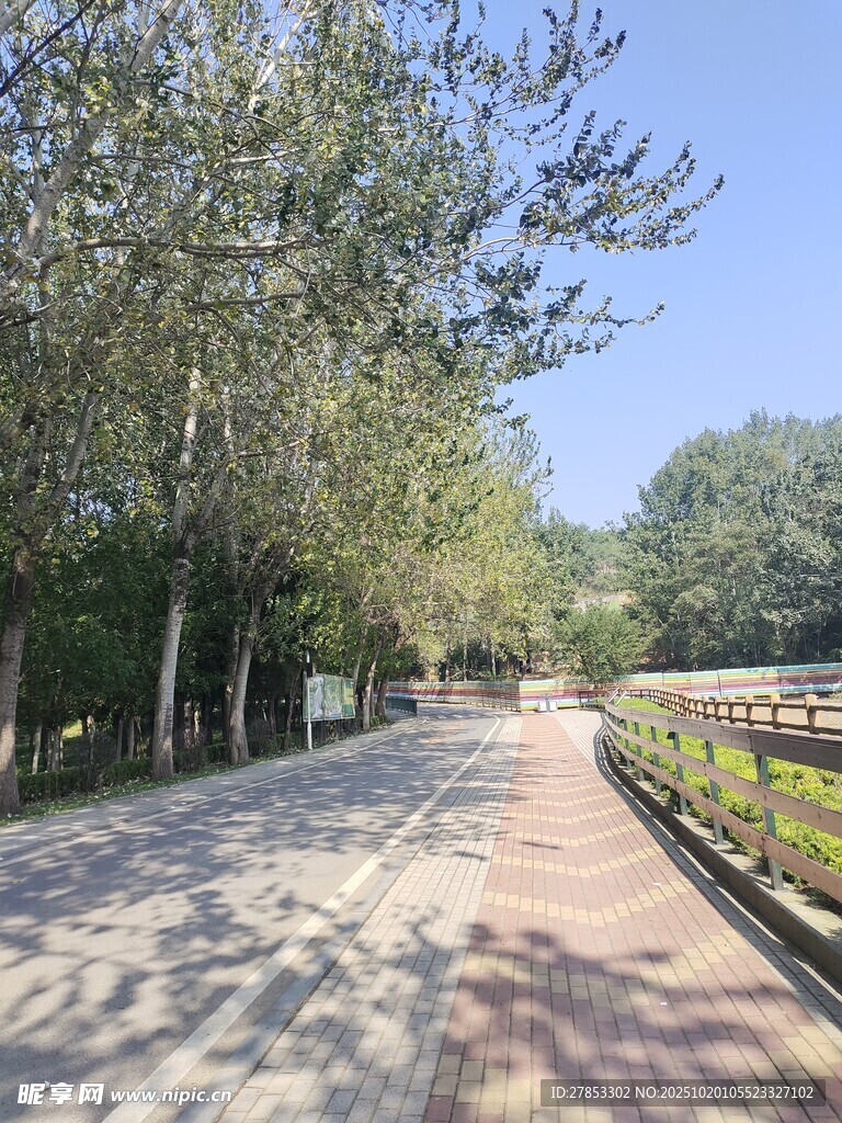 林荫小道