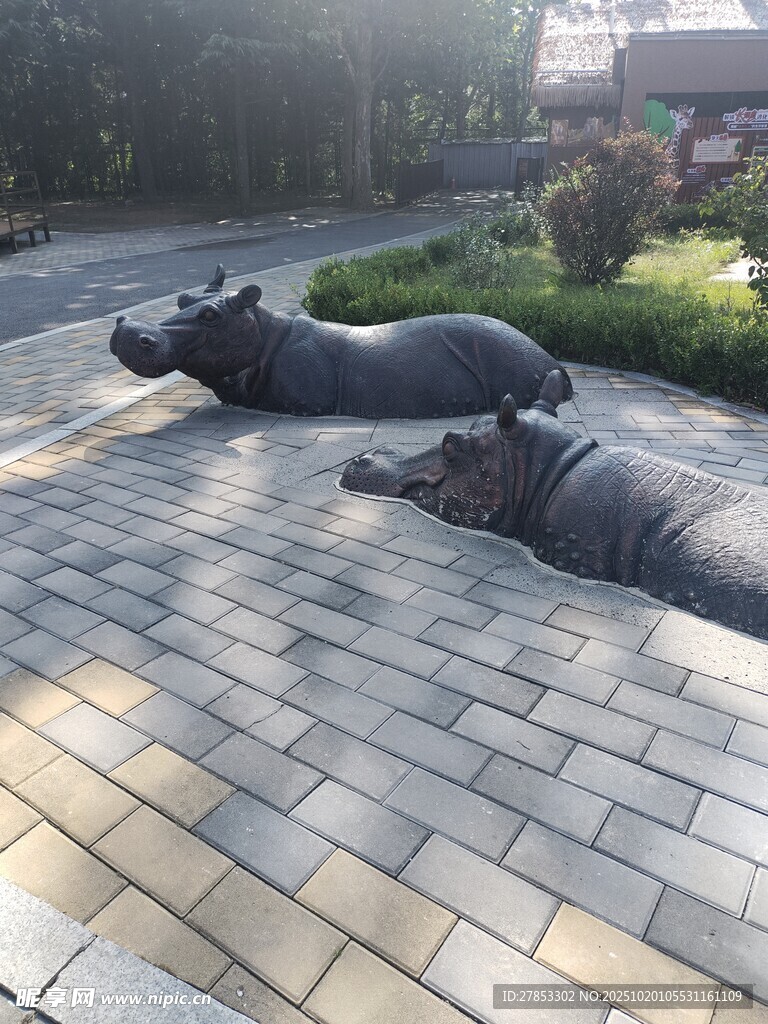 户外地面上的河马雕塑