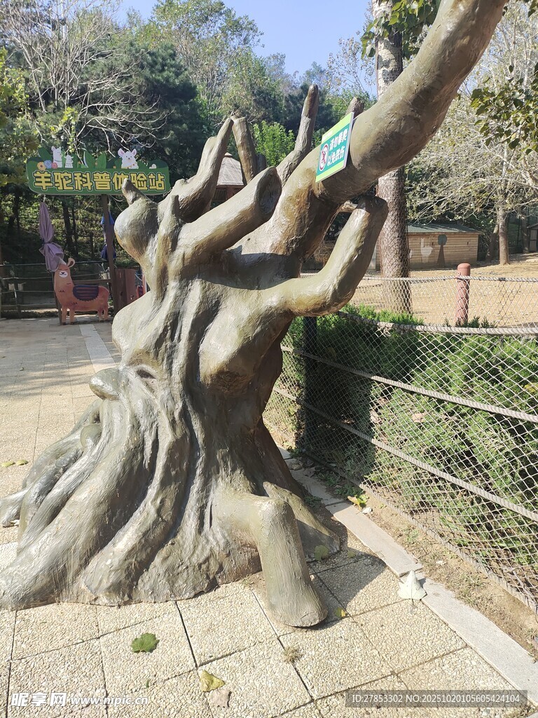 奇特树根造型景观