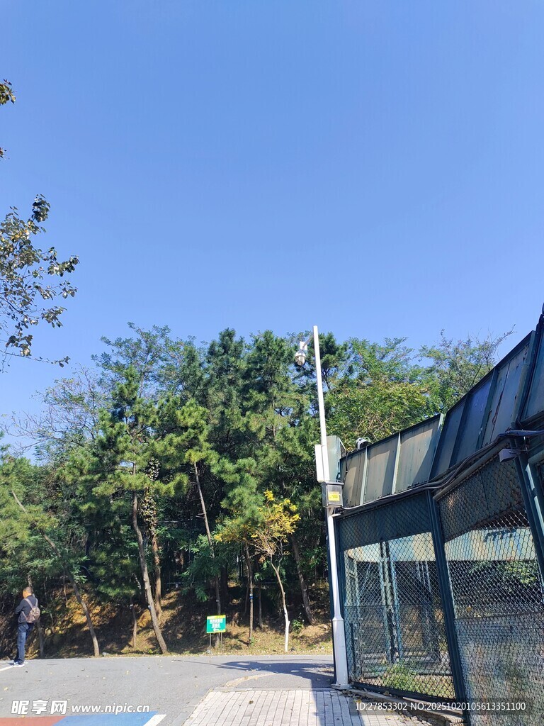 户外玻璃建筑与绿树景观