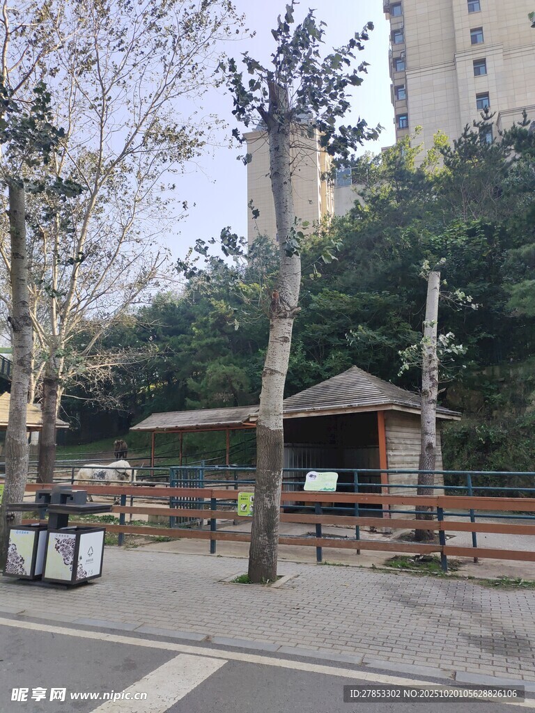 城市街边的休闲小亭景观