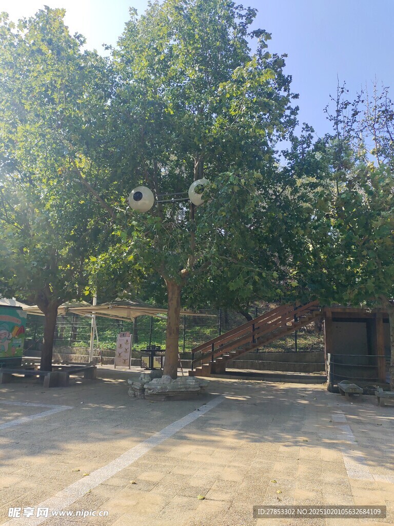 户外绿树环绕的开阔场地