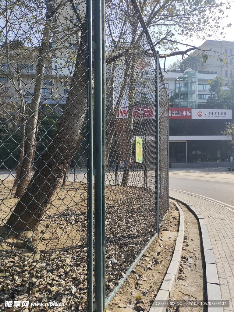 冬日路边围栏与光秃树木