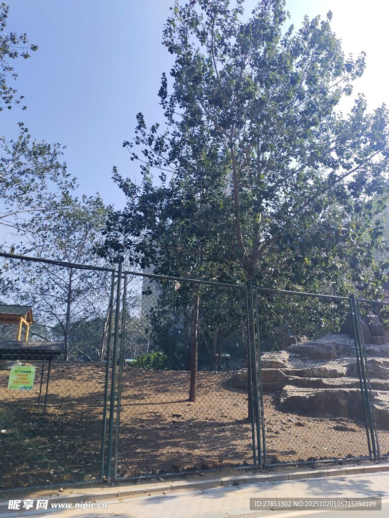 户外树木与围栏场景