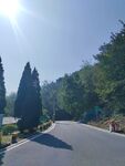 阳光照耀下的林间蜿蜒公路