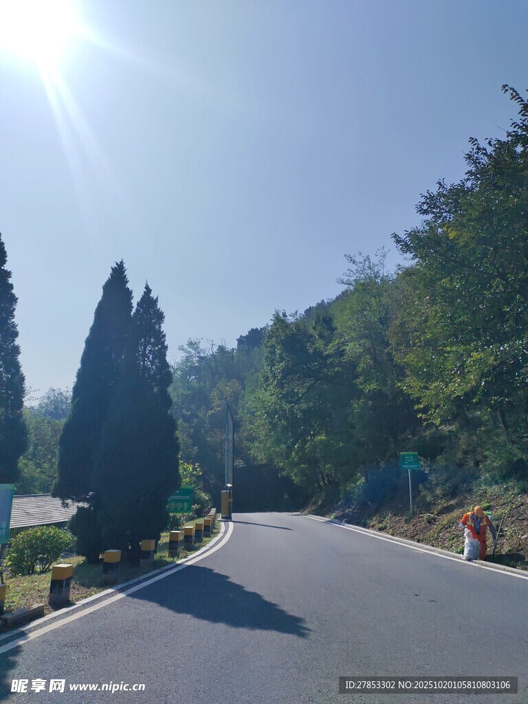 阳光照耀下的林间蜿蜒公路