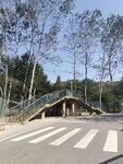 户外道路旁的斜坡与桥梁
