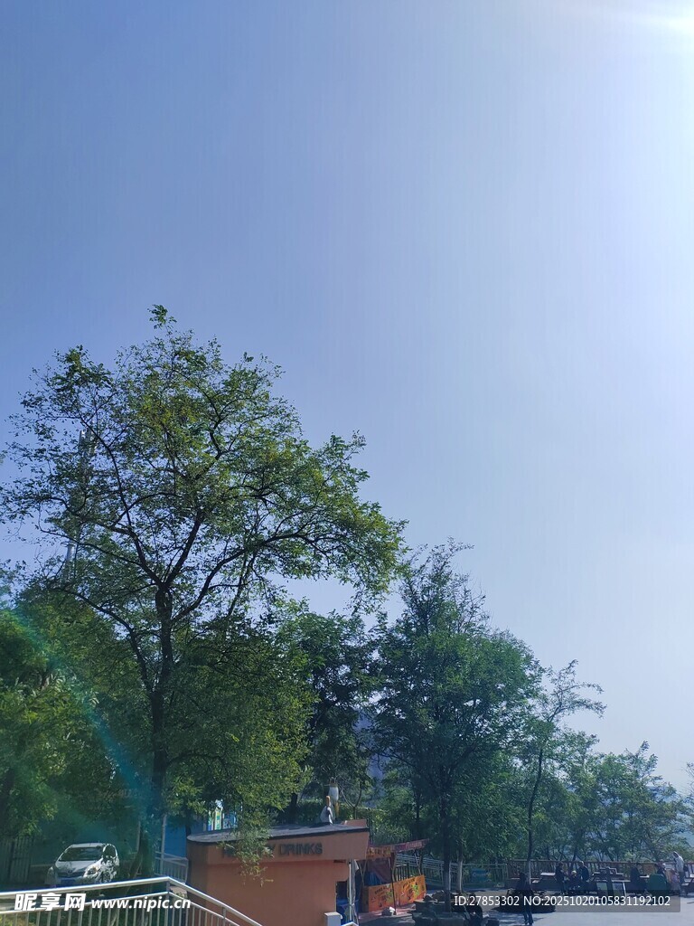户外绿树蓝天景象