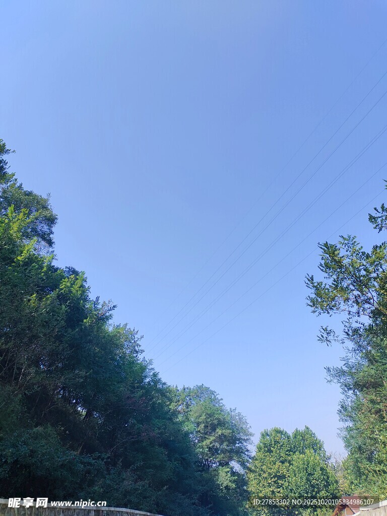 蓝天绿树间的清新景致