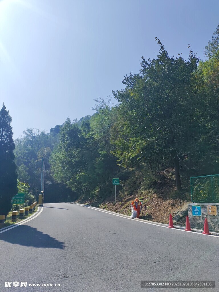 山间公路旁绿意盎然