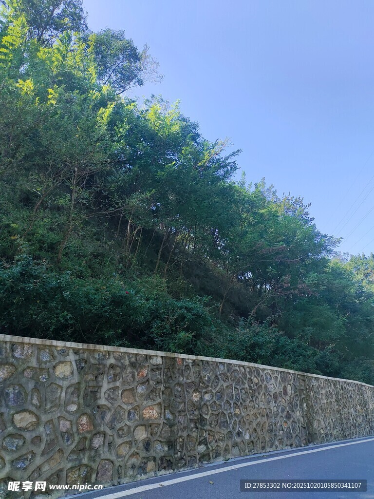 路边石墙与葱郁植被