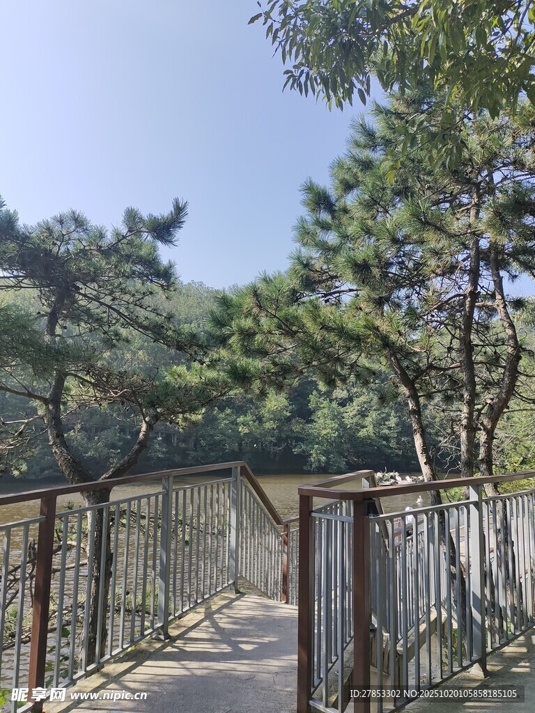 林间小道