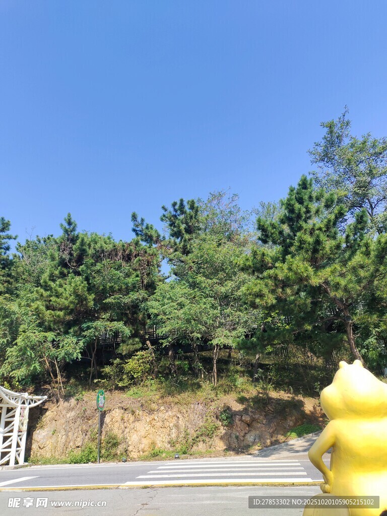 户外路旁的黄色雕塑与绿树