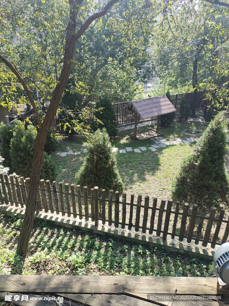 林间小屋旁的静谧景致