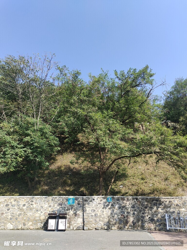 户外绿树环绕的景致