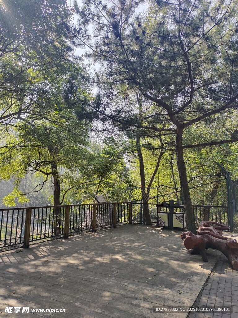 林间休憩处