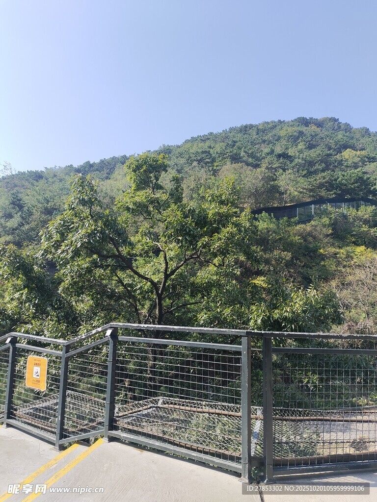 山间围栏处的自然景致