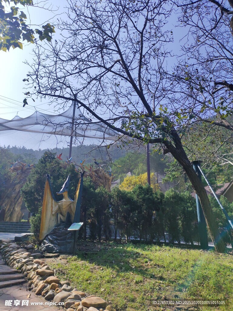 秋日山林小径风景