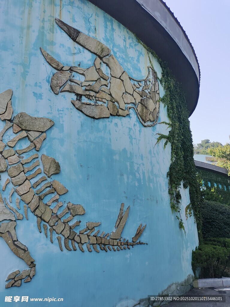 蓝色墙面上的恐龙骨架涂鸦
