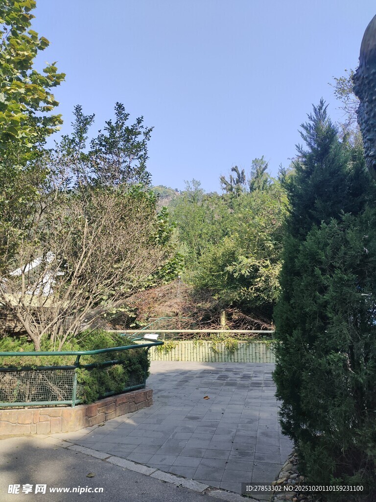 宁静庭院景观