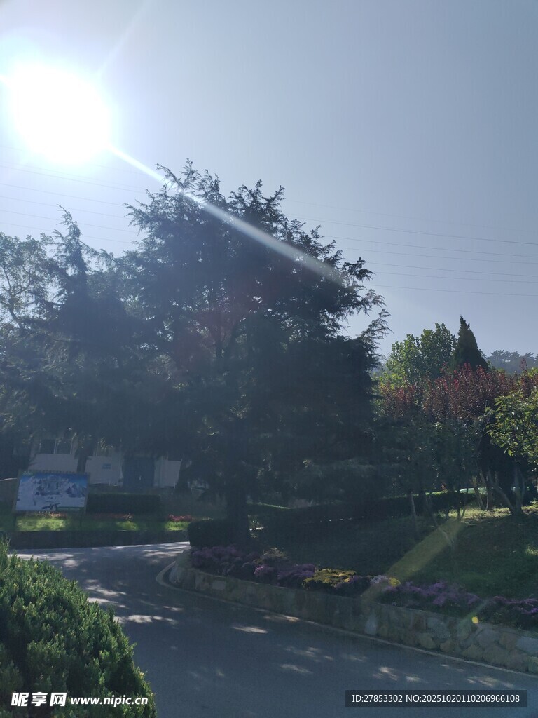 阳光洒落的静谧园林风光