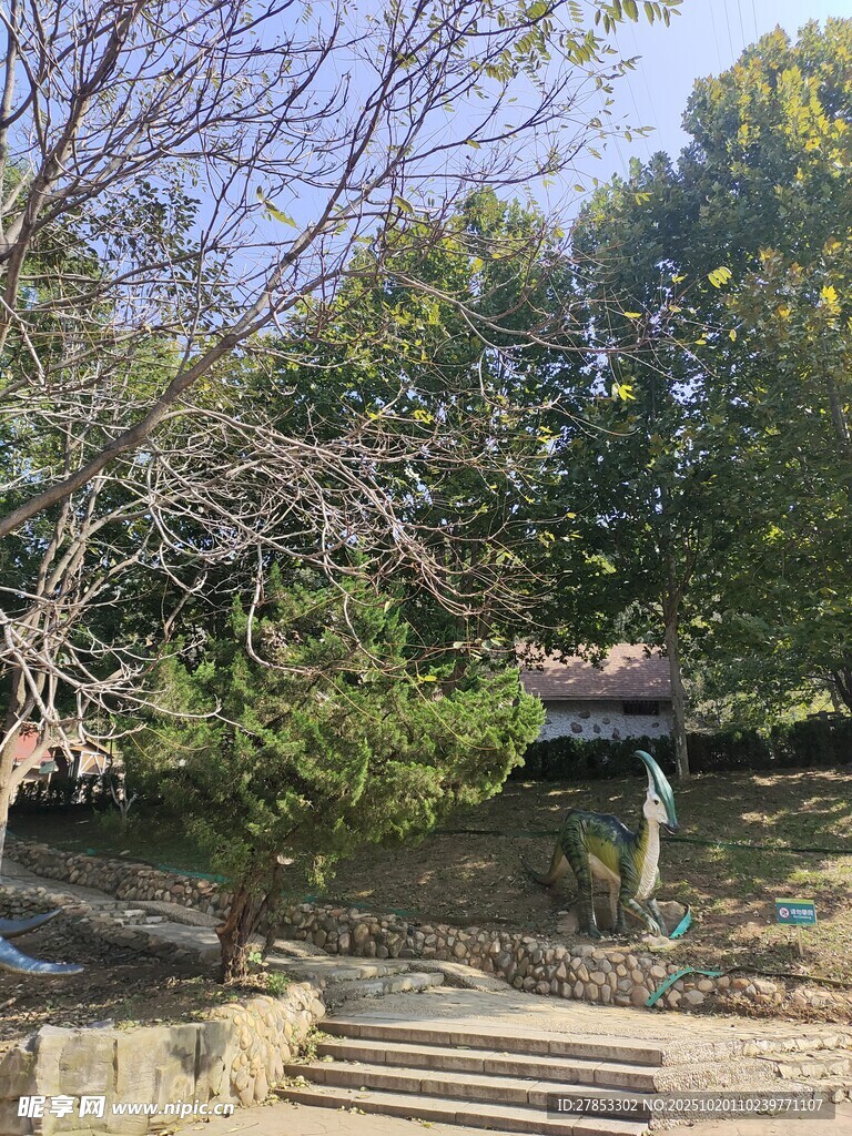 宁静庭院中的自然景致