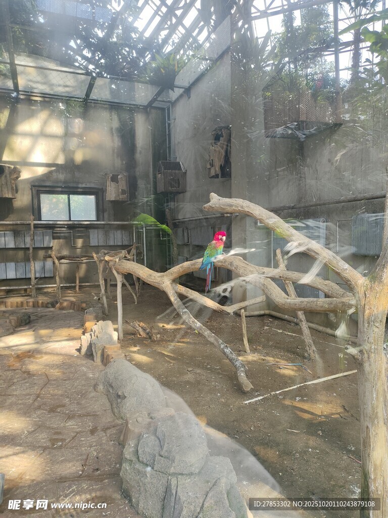 室内自然风动物栖息场景