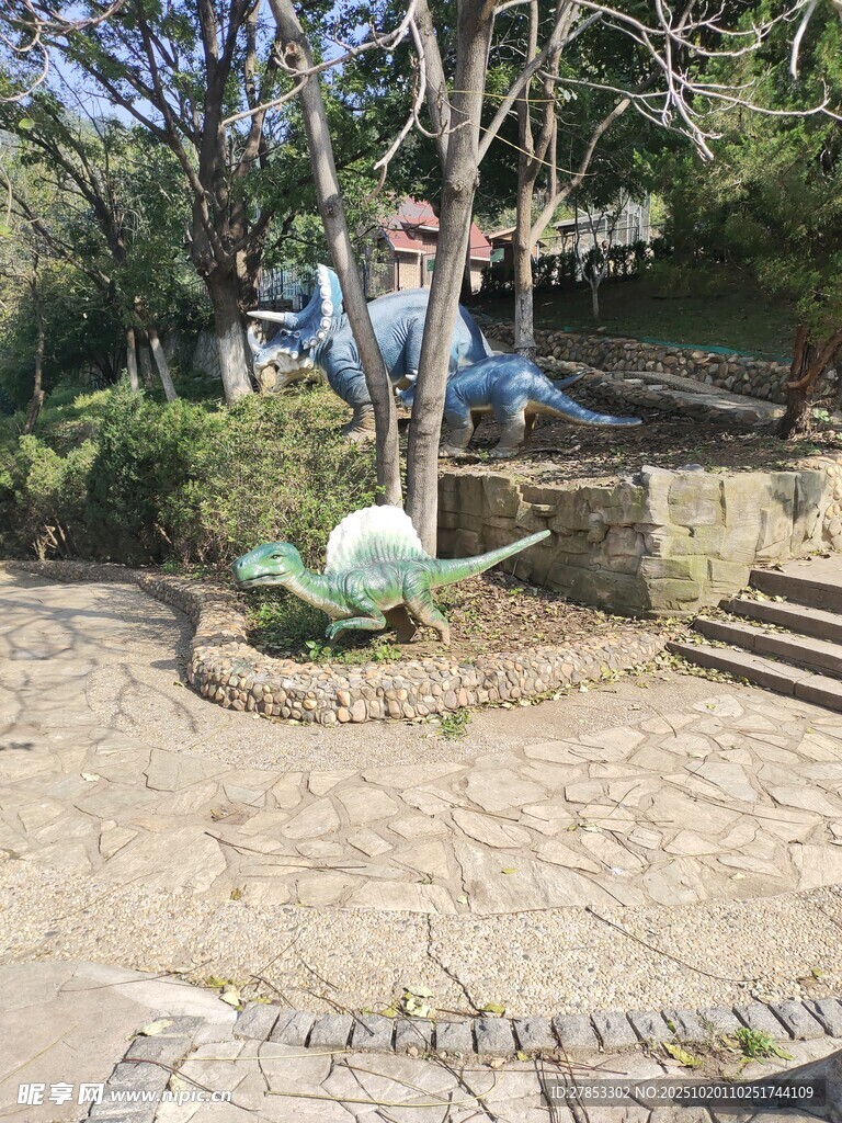 庭院中的绿植与休闲景致