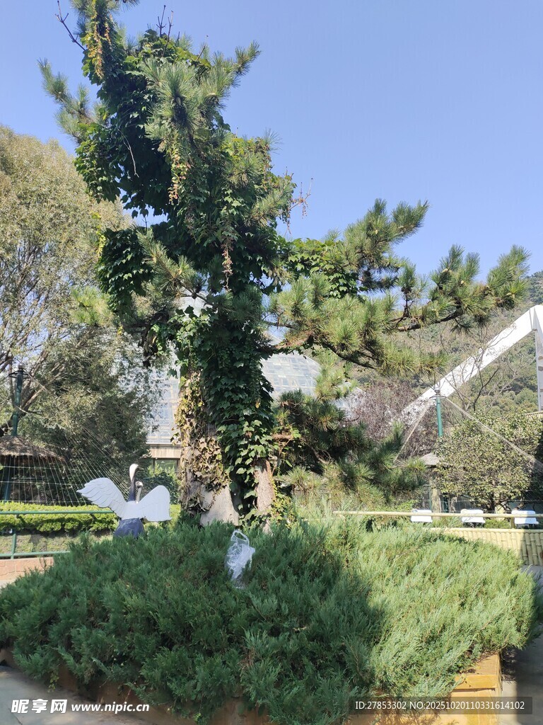户外绿植景观