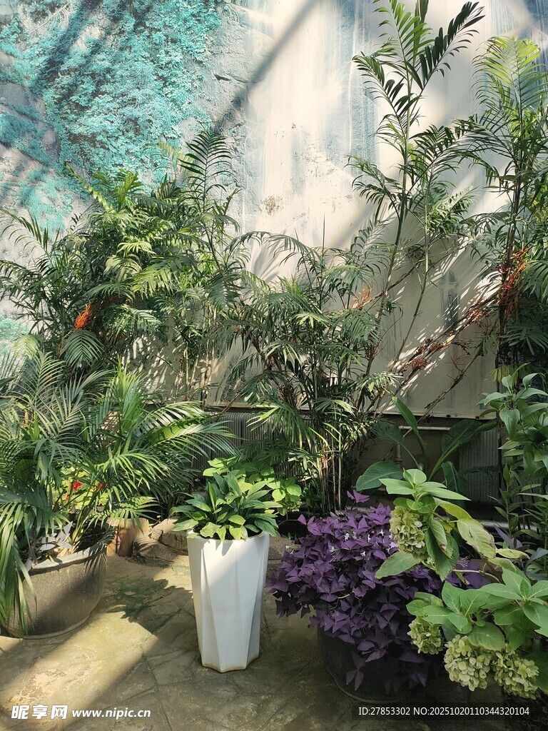 室内绿植景观