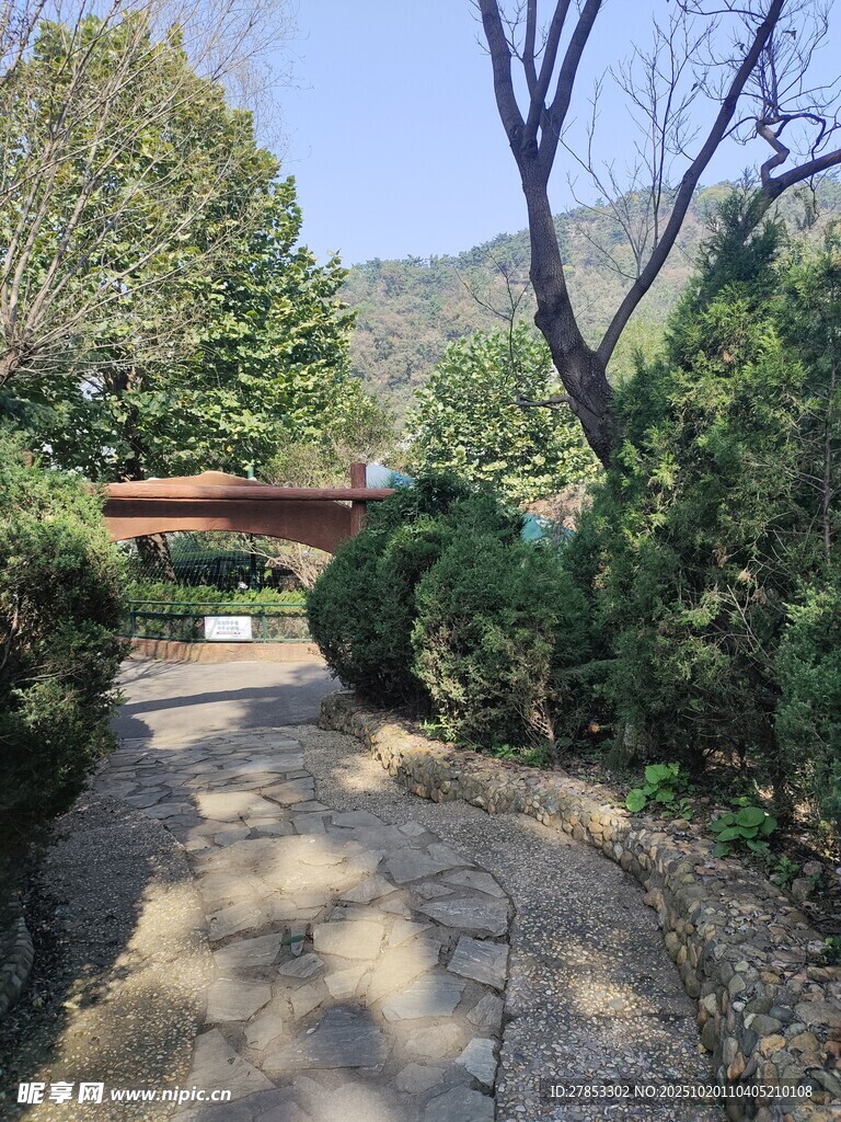林间石径