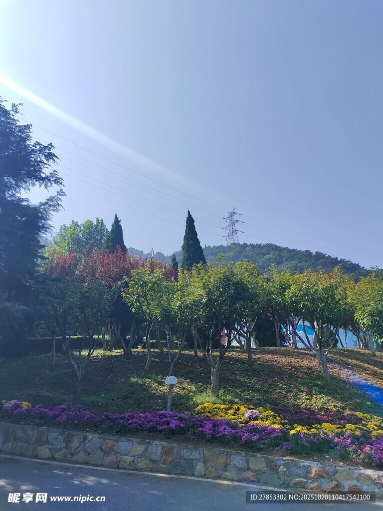 美丽户外花园景观