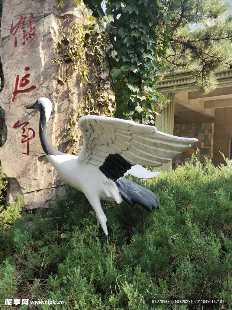 园林中的仙鹤雕塑