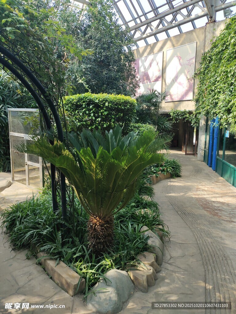 温室中的绿植景观