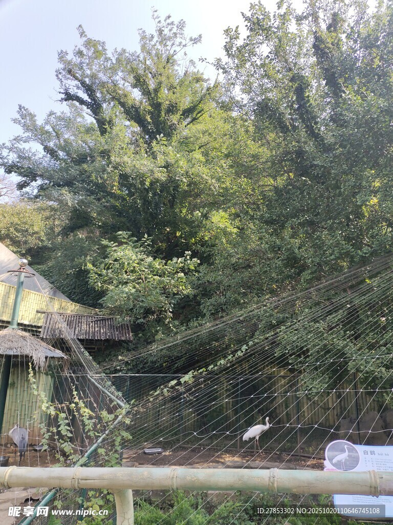 户外丛林中的休闲场景
