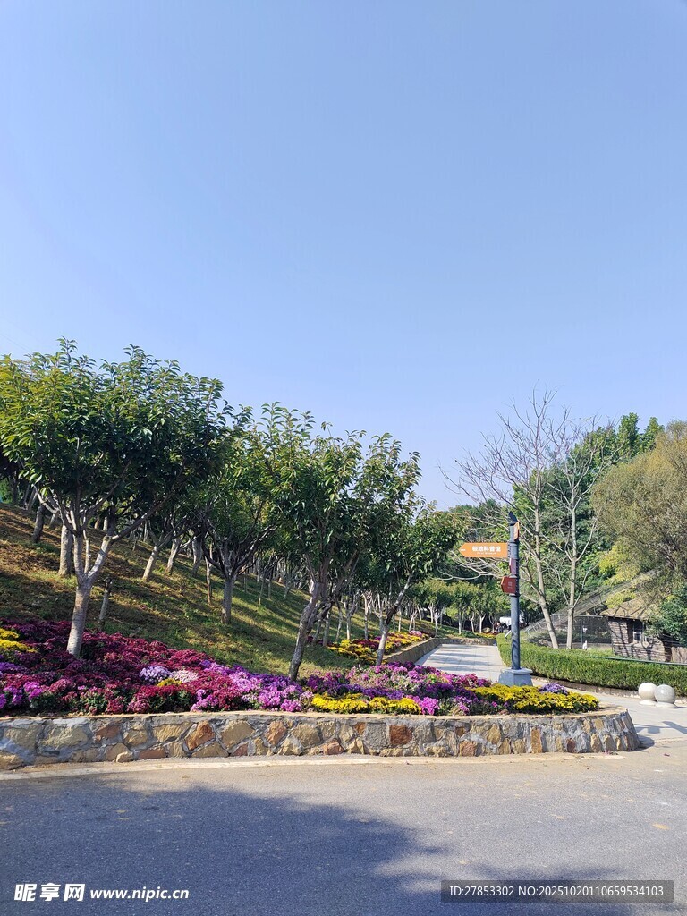美丽多彩的户外园林景观