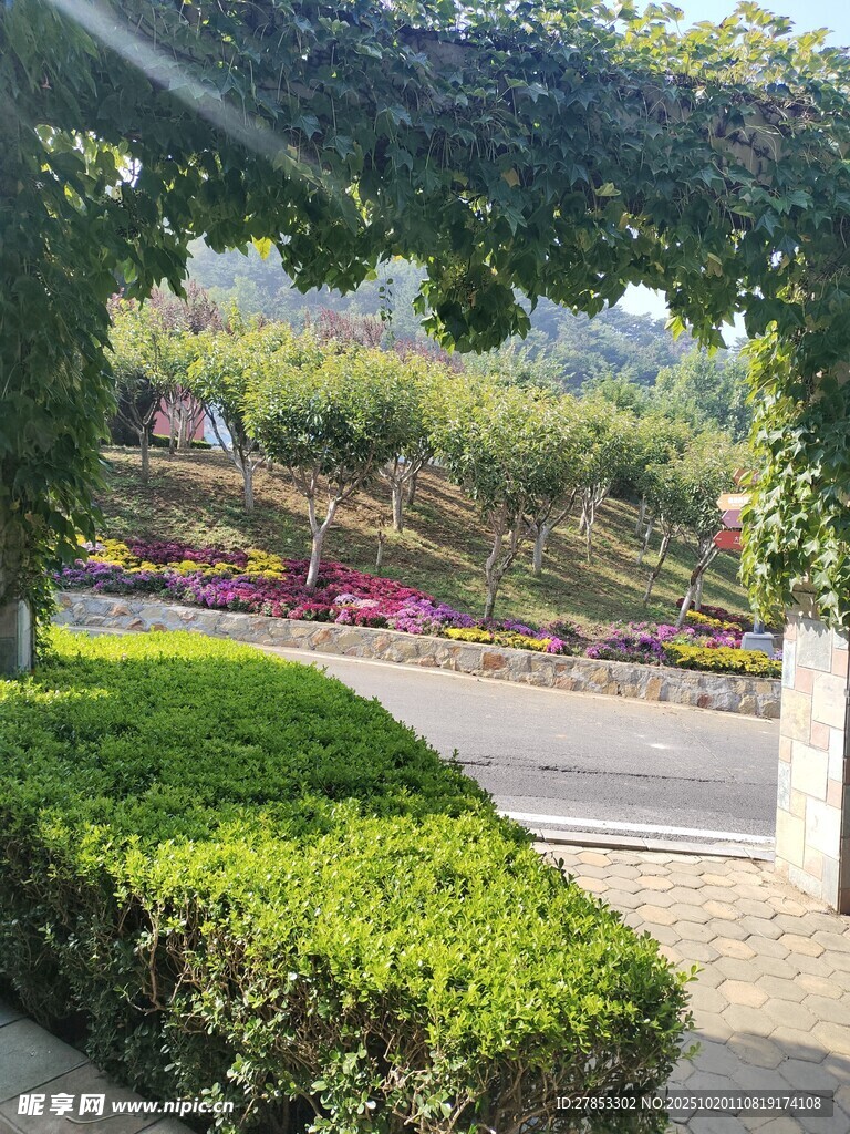 花园美景