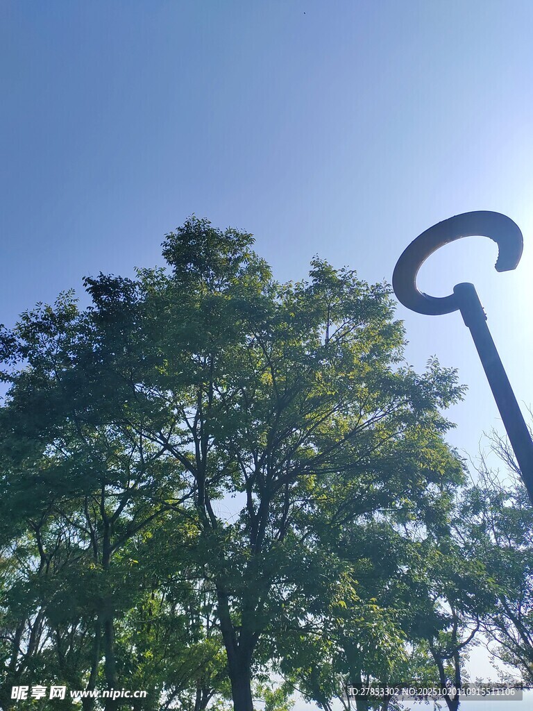 蓝天绿树旁的弧形金属装置
