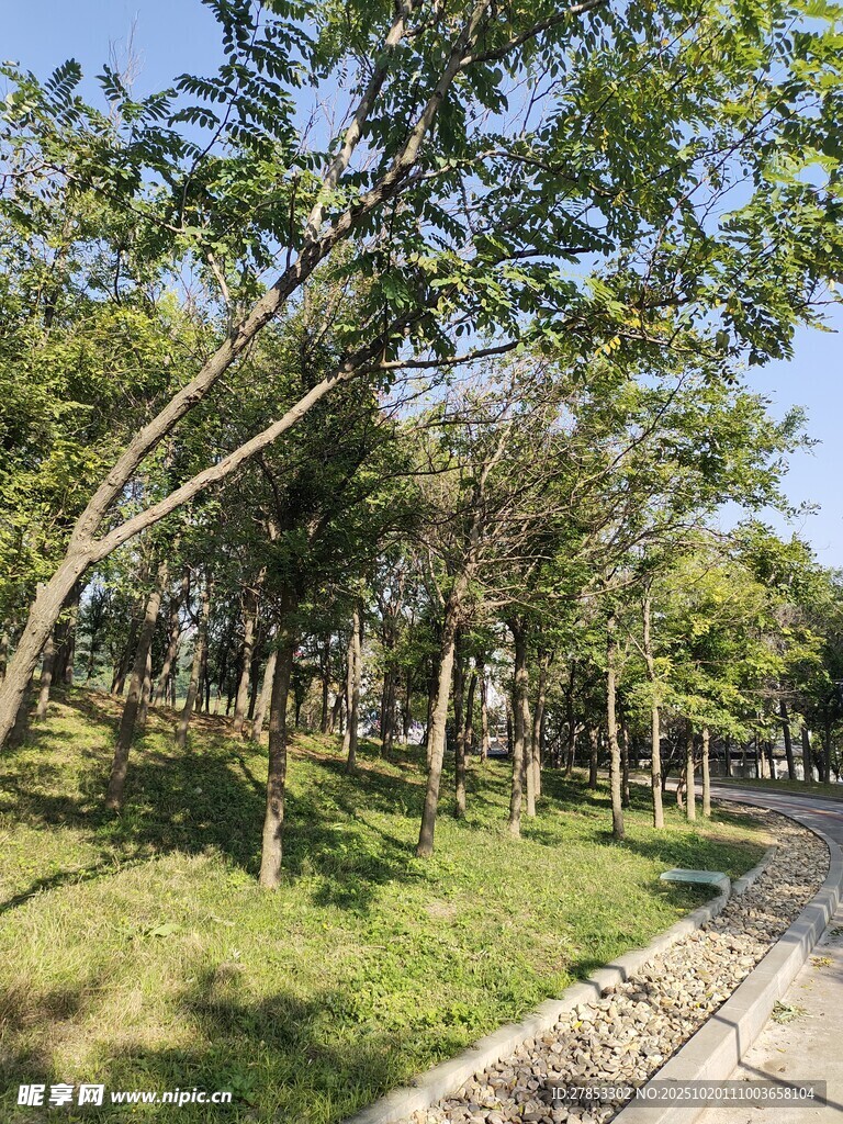 林间小道