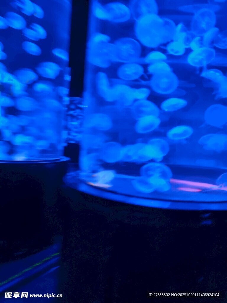 梦幻蓝色水母展示缸