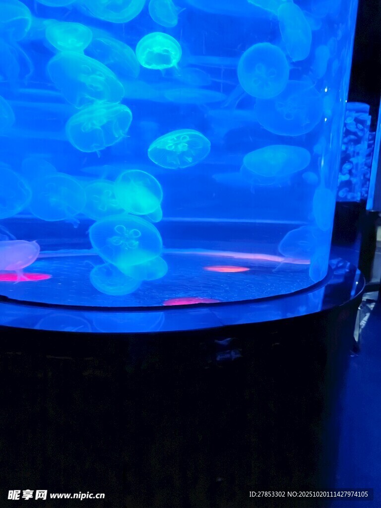 梦幻蓝色水族箱景观