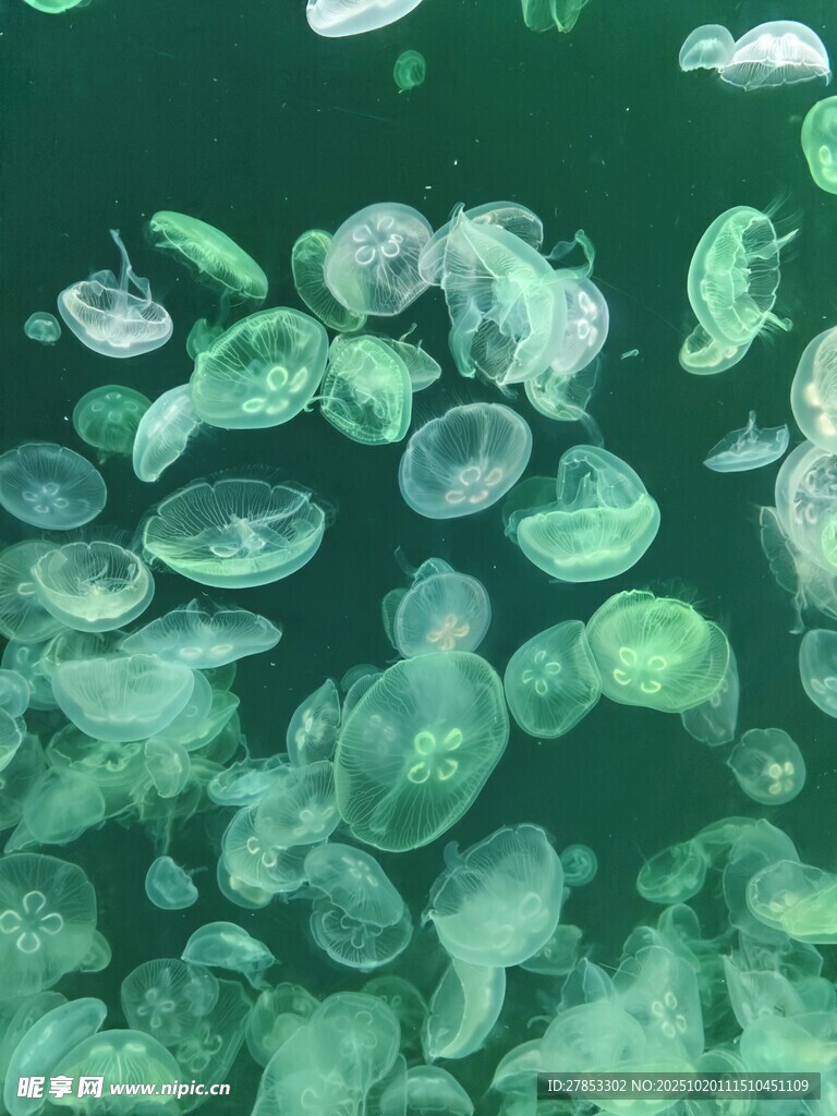 晶莹剔透的绿色宝石碎块